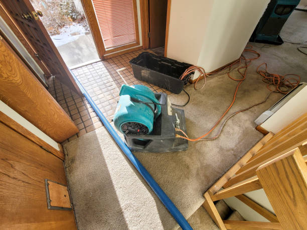 Water damage restoration experts in La Blanca, TX