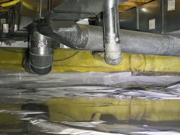 Best Water damage restoration near me  in La Blanca, TX