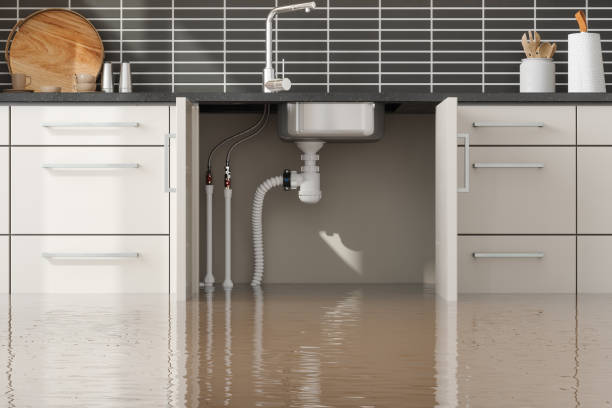  La Blanca, TX Water damage restoration Pros