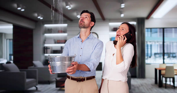 Best 24/7 water damage repair  in La Blanca, TX
